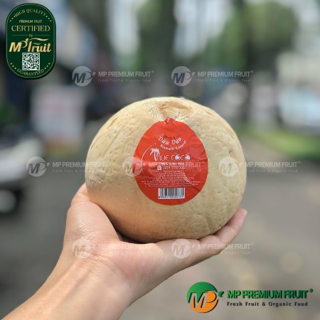 Dừa Dứa Bến Tre Gọt Trọc - Aromatic Coconut | Truecoco