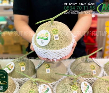 Dưa Lưới Nhật Taki Biển Hoàng Gia Organic - SeaRoyal Musk Melon Danny Green