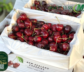 Cherry Đỏ New Zealand Size 32+ | J&P Turner - Hộp 2kg