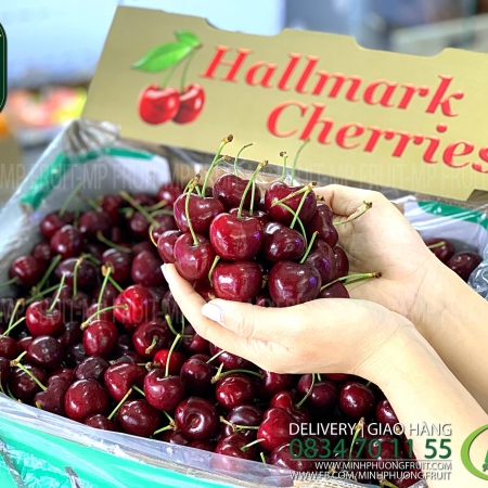Cherry Đỏ Úc Size 28 - 30 | Hallmark