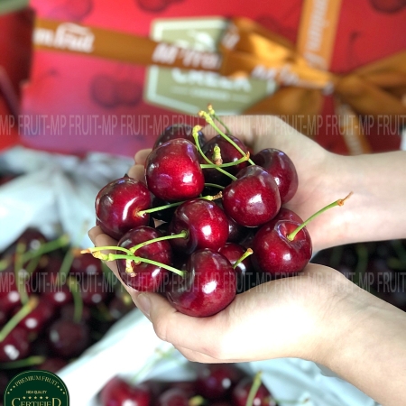 Cherry Đỏ New Zealand Size 30+ | Pongs Creek
