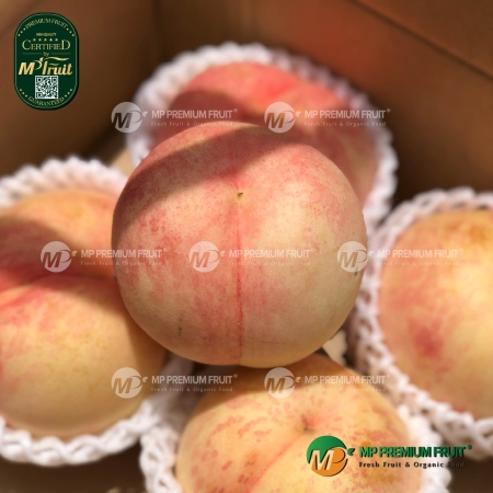 Đào Sakura Nhật Bản