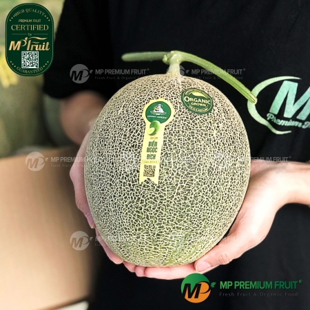 Dưa Lưới Nhật Ichiba Biển Ngọc Bích Organic - SeaEmerald Musk Melon Danny Green