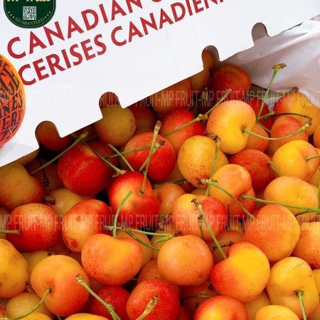 Cherry Vàng Jealous Canada Size 8.5 - Rainier Cherry