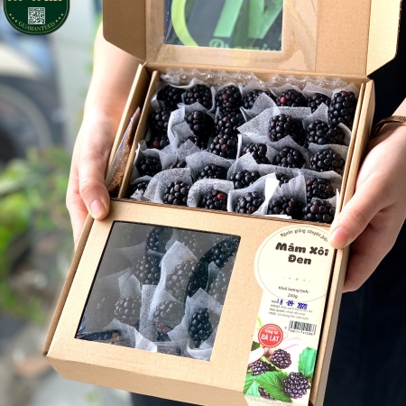 Blackberry - Mâm Xôi Đen Giống Pháp Green Foods Dalat Hộp 250g