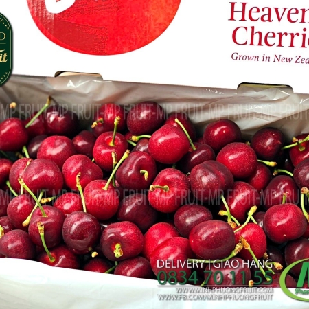 Cherry Đỏ New Zealand Size 32+ | Lani