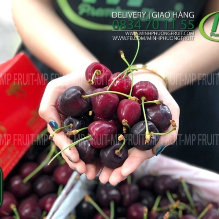 Cherry Đỏ Tasmania Úc Size 28-30 Reid Fruits