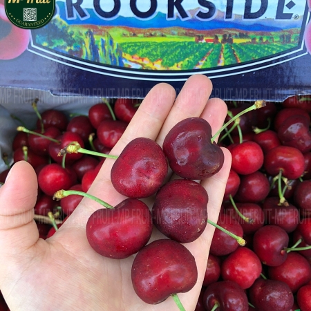 Cherry Đỏ Brookside Mỹ Size 9.5