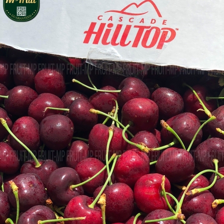 Cherry Đỏ Washington Mỹ Size 9.5 | Hilltop