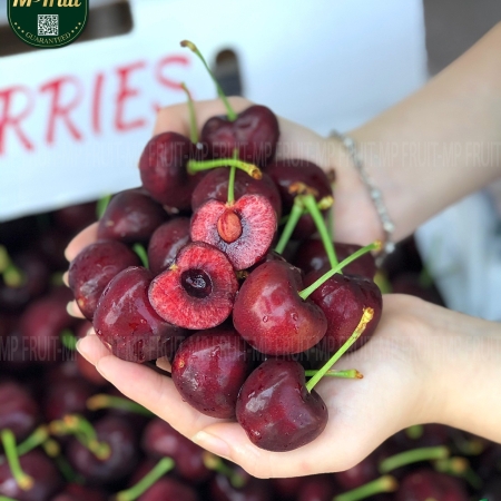 Cherry Đỏ Washington Mỹ Size 8.5 | Chuông