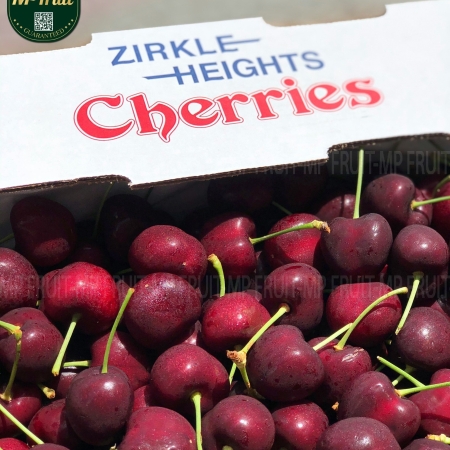 Cherry Đỏ Washington Mỹ Size 8.5 | Zirkle