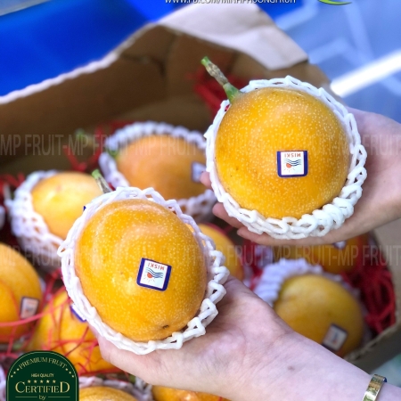 Chanh Leo Ecuador - Chanh Dây Ecuador - Ecuadorian Golden Passion Fruit