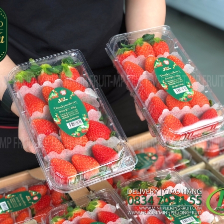Dâu Tây Hàn Quốc Premium | Joy Farm Hộp 350g - New