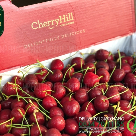 Cherry Đỏ Úc Size 28 - 30 | Cherry Hill Orchards