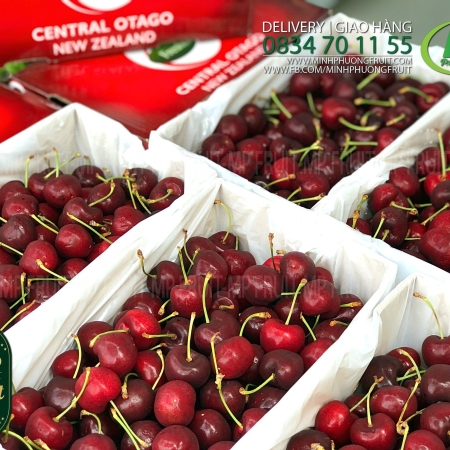 Cherry Đỏ New Zealand Size 30+ | Freshco