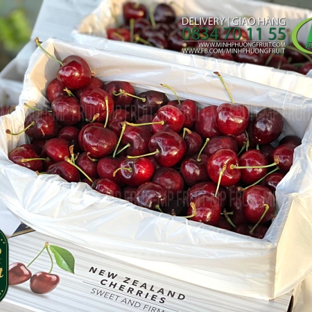 Cherry Đỏ New Zealand Size 32+ | J&P Turner - Hộp 2kg