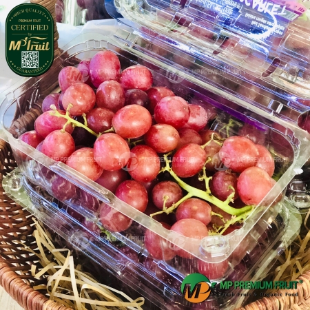 Nho Đỏ Không Hạt Sweet Scarlet Table Grapes Mỹ