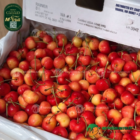 Cherry Vàng Mỹ Size 8.5 - Rainier Cherry 