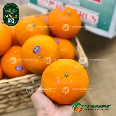 Quýt Citrus Úc | Honey Murcott - Size 36