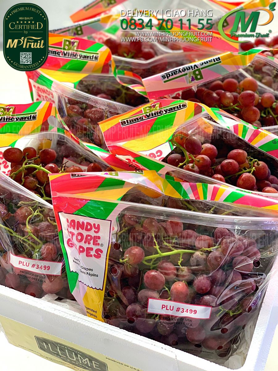 Nho Đỏ Kẹo Candy Store Grapes chủng Candy Snaps Mỹ tại MP Fruits