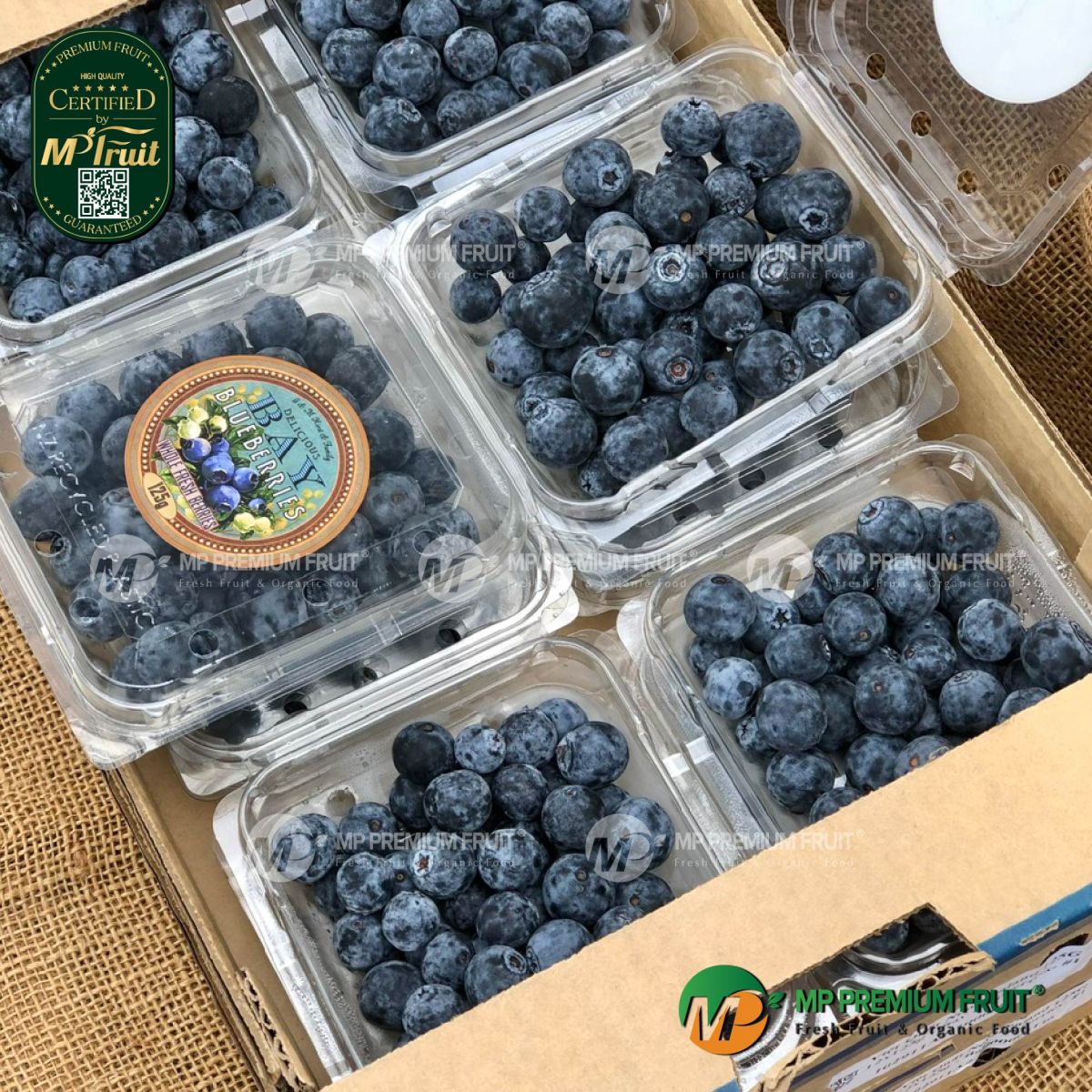 Việt Quất Nhập Khẩu New Zealand | BAY Hộp 125g tại MP Fruit