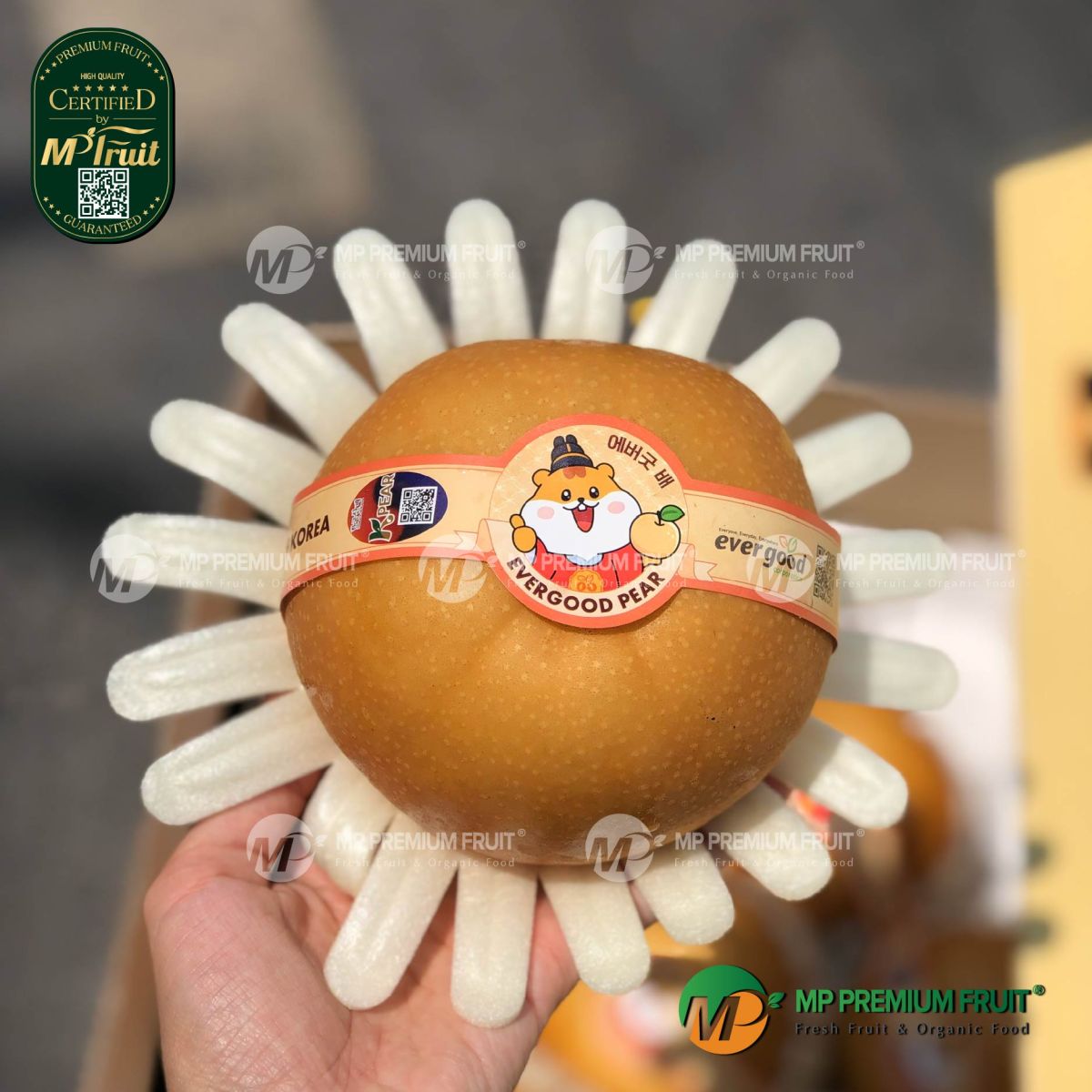 Lê Nâu Hàn Quốc | Evergood - Premium Gift Set 5kg tại MP Fruit