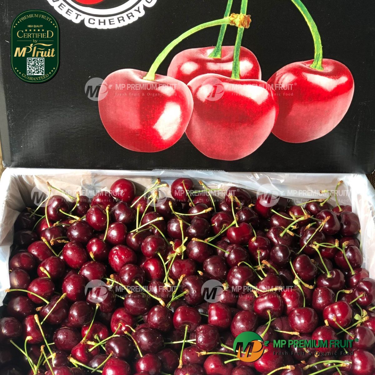 Cherry Đỏ Mỹ tại MP Fruit