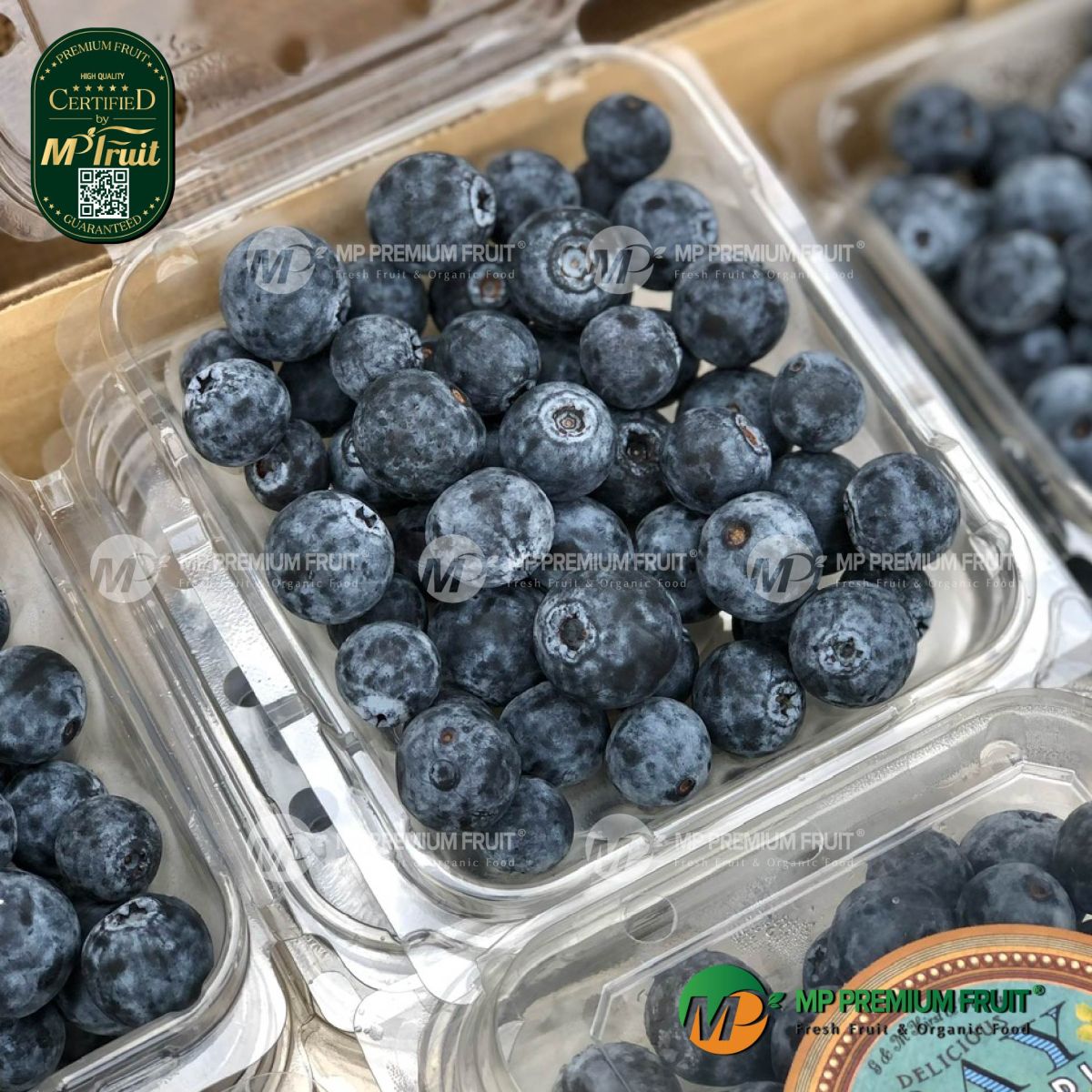 Việt Quất Nhập Khẩu New Zealand | BAY Hộp 125g tại MP Fruit
