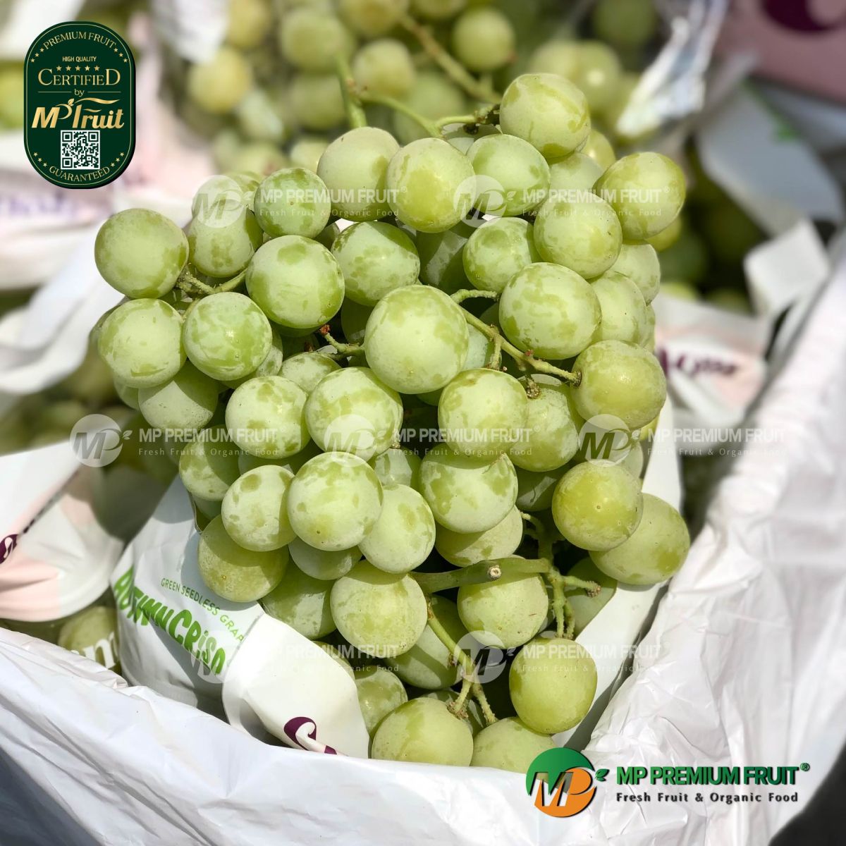 Nho Xanh Autumn Crisp Úc tại MP Fruit