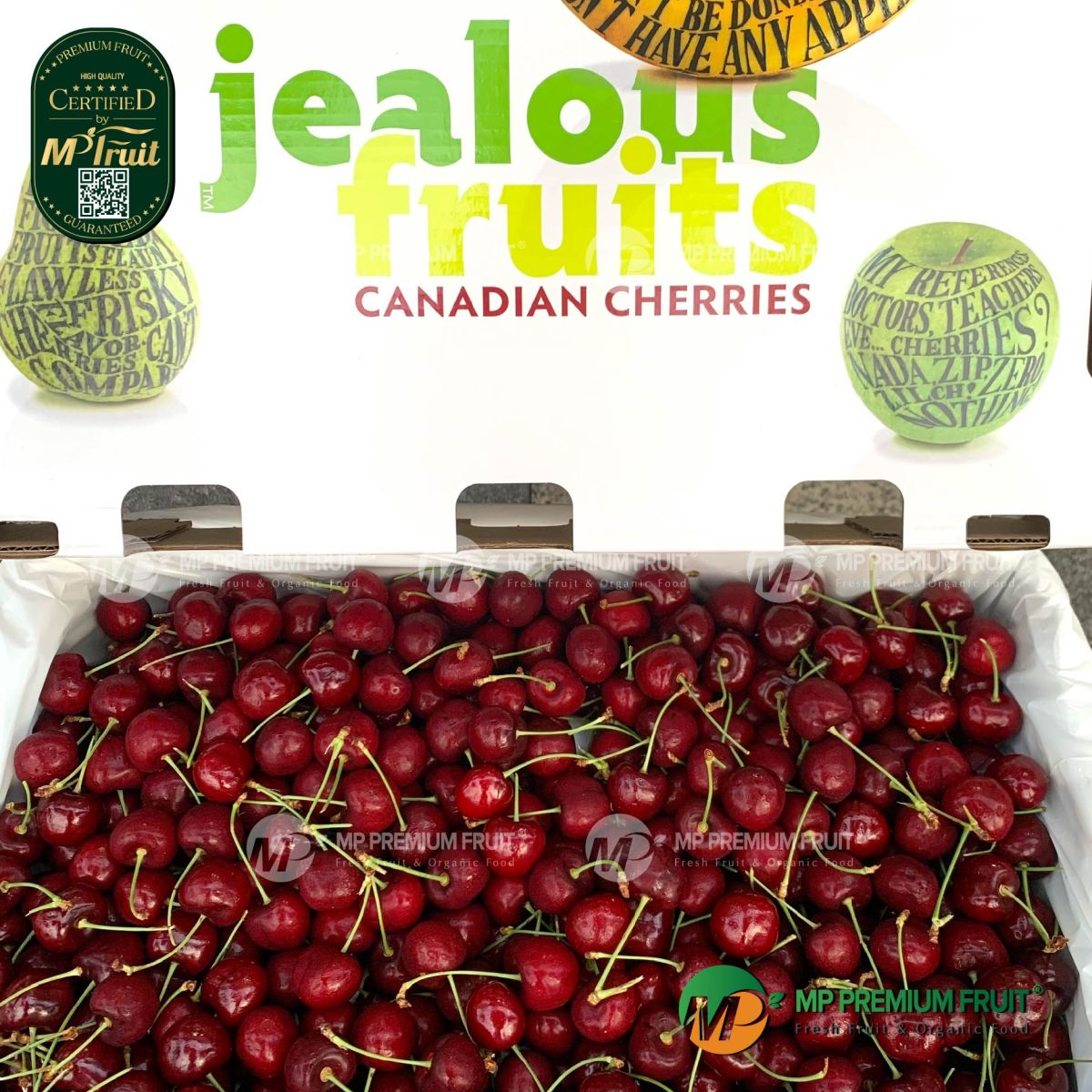 Cherry Đỏ Jealous Canada Size 9.5 tại MP Fruit