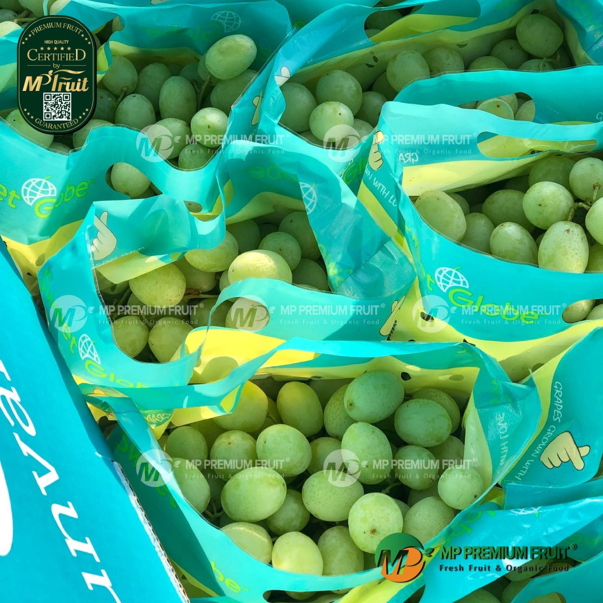 Nho Xanh Sweet Globe Úc tại MP Fruit
