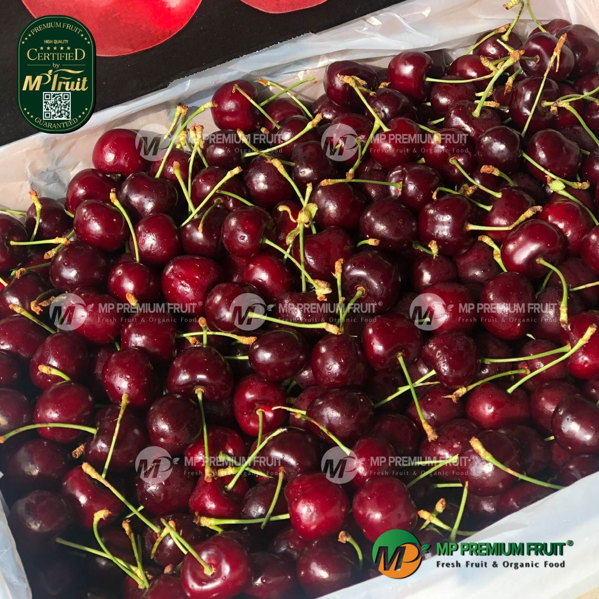 Cherry Đỏ Mỹ tại MP Fruit