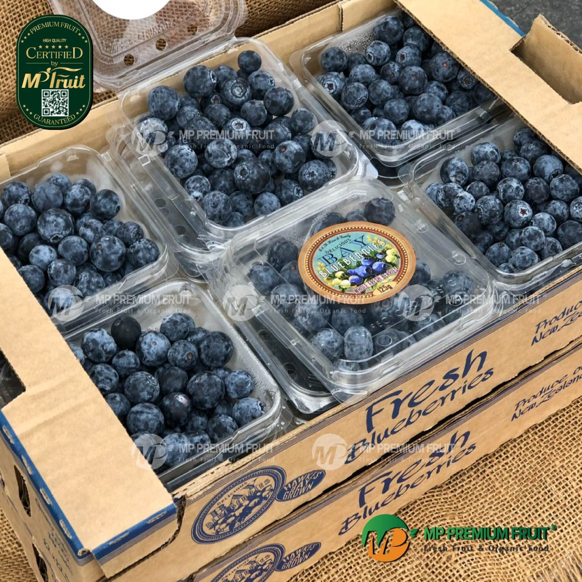 Việt Quất Nhập Khẩu New Zealand | BAY Hộp 125g tại MP Fruit