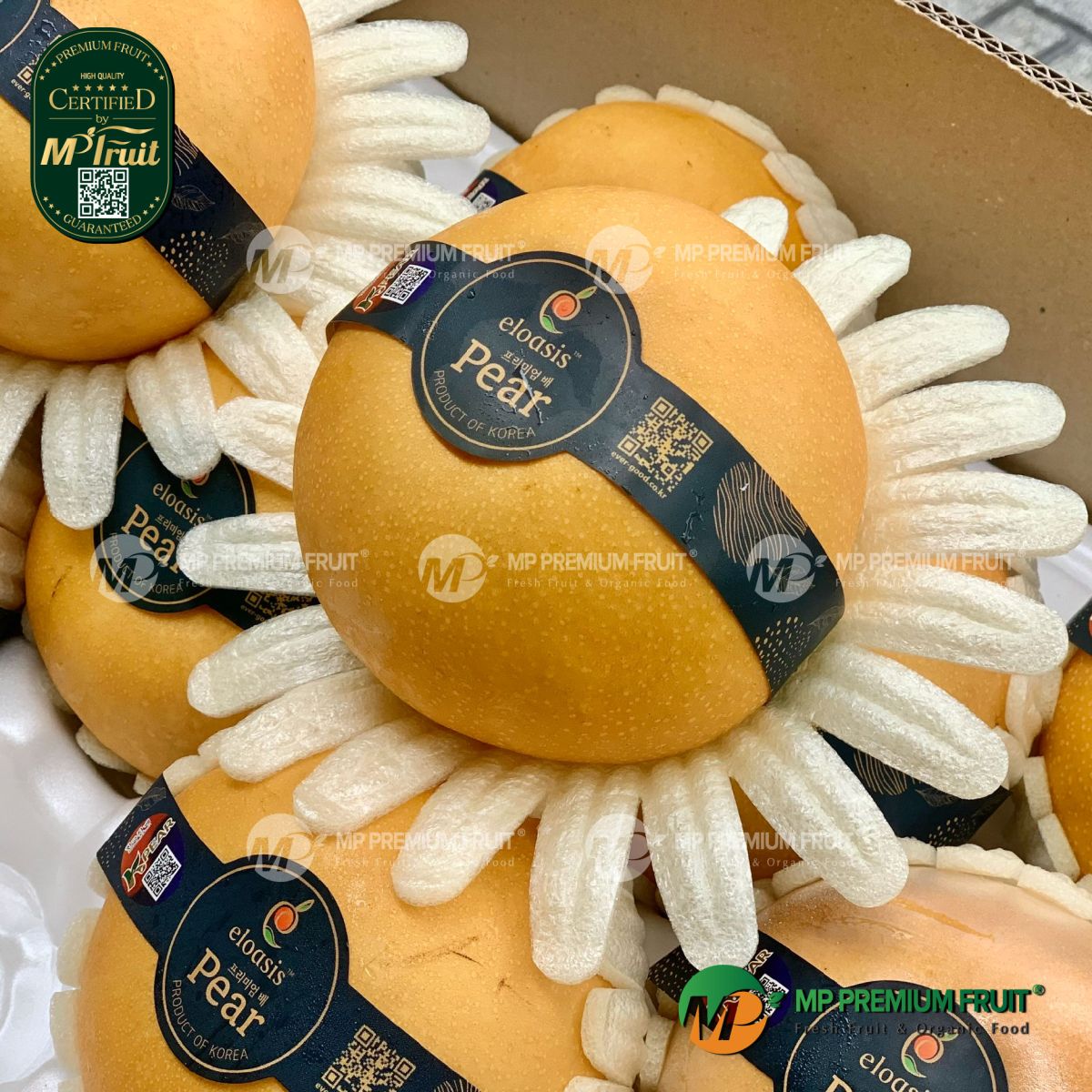 Lê Nâu Singo Hàn Quốc tại MP Fruit