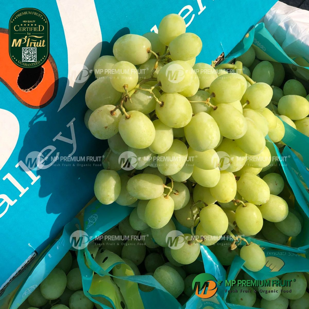 Nho Xanh Sweet Globe Úc tại MP Fruit