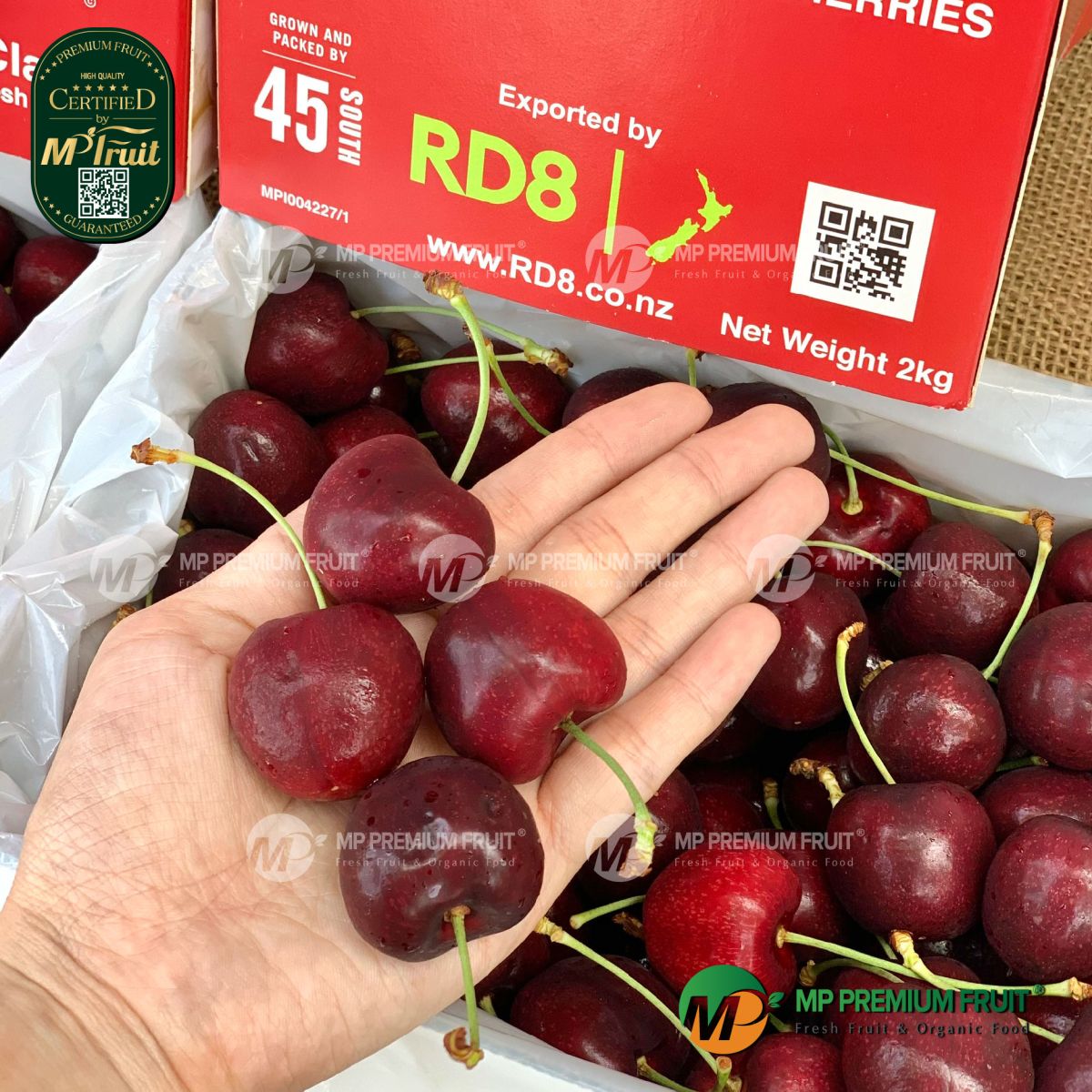 Cherry Đỏ New Zealand Size 30+ | Red Pearl - Hộp 2kg tại MP Fruit