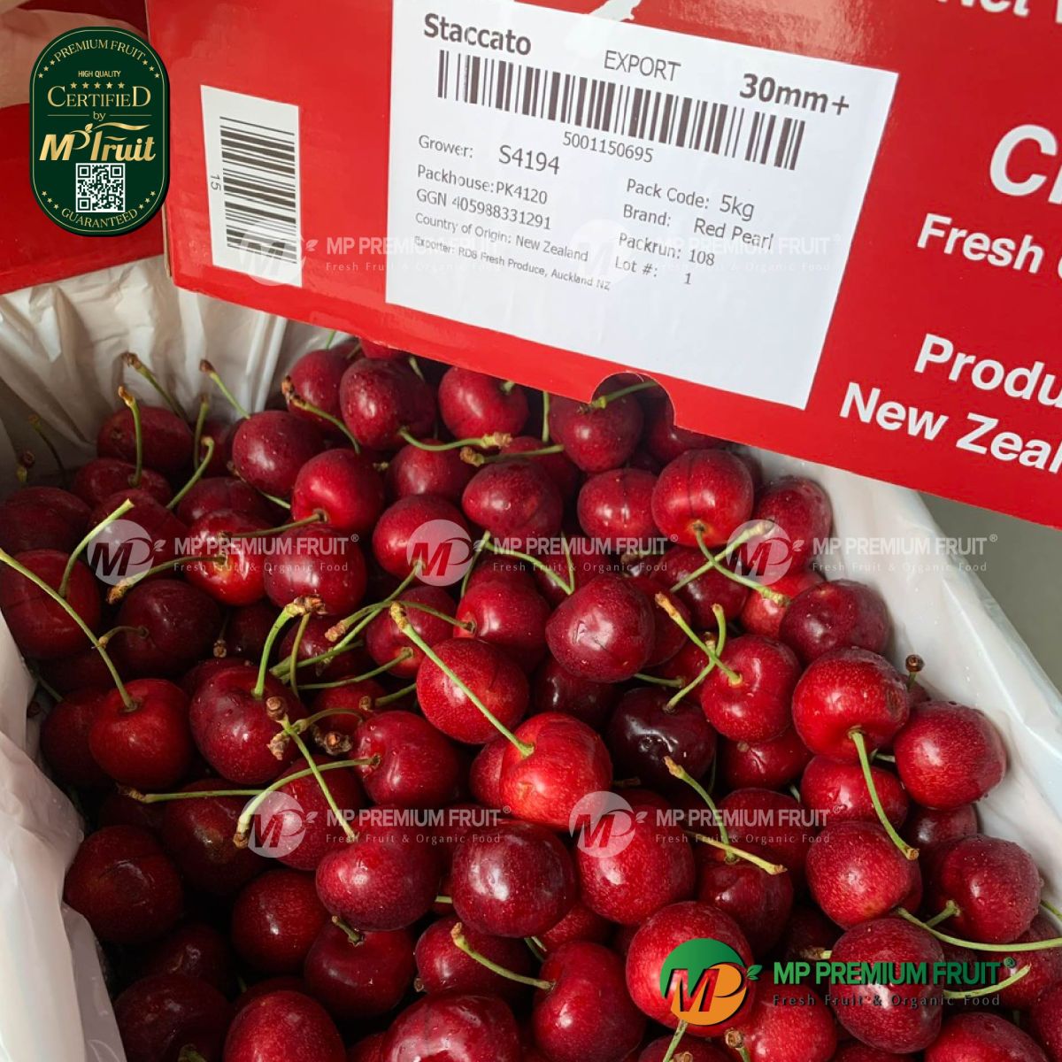 Cherry Đỏ New Zealand Size 30+ | Red Pearl tại MP Fruit