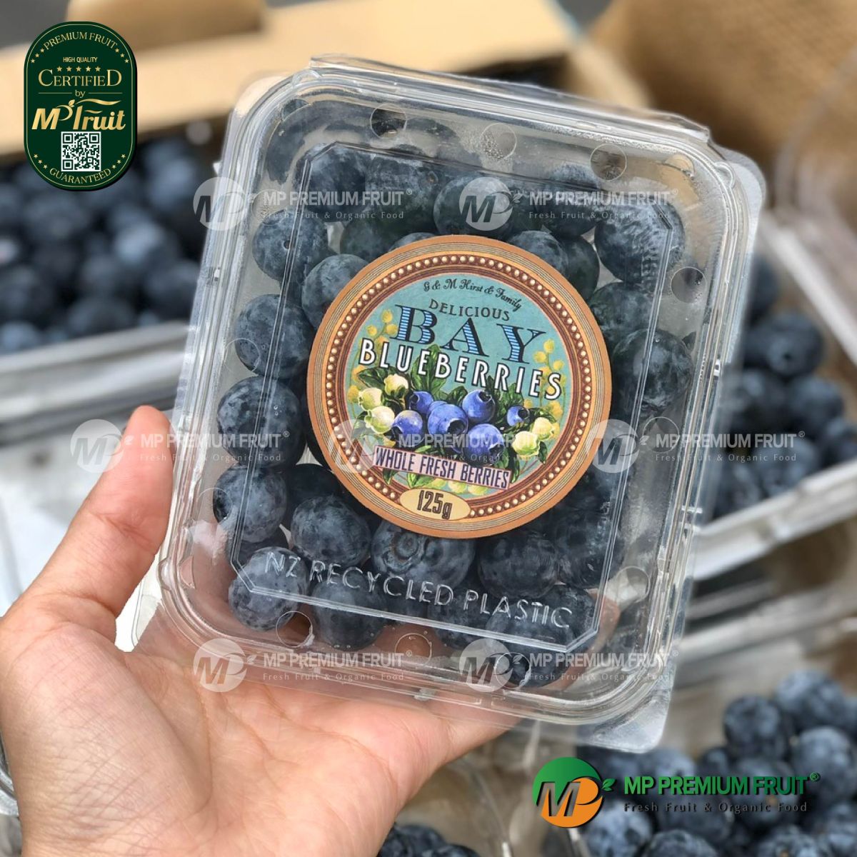 Việt Quất Nhập Khẩu New Zealand | BAY Hộp 125g tại MP Fruit