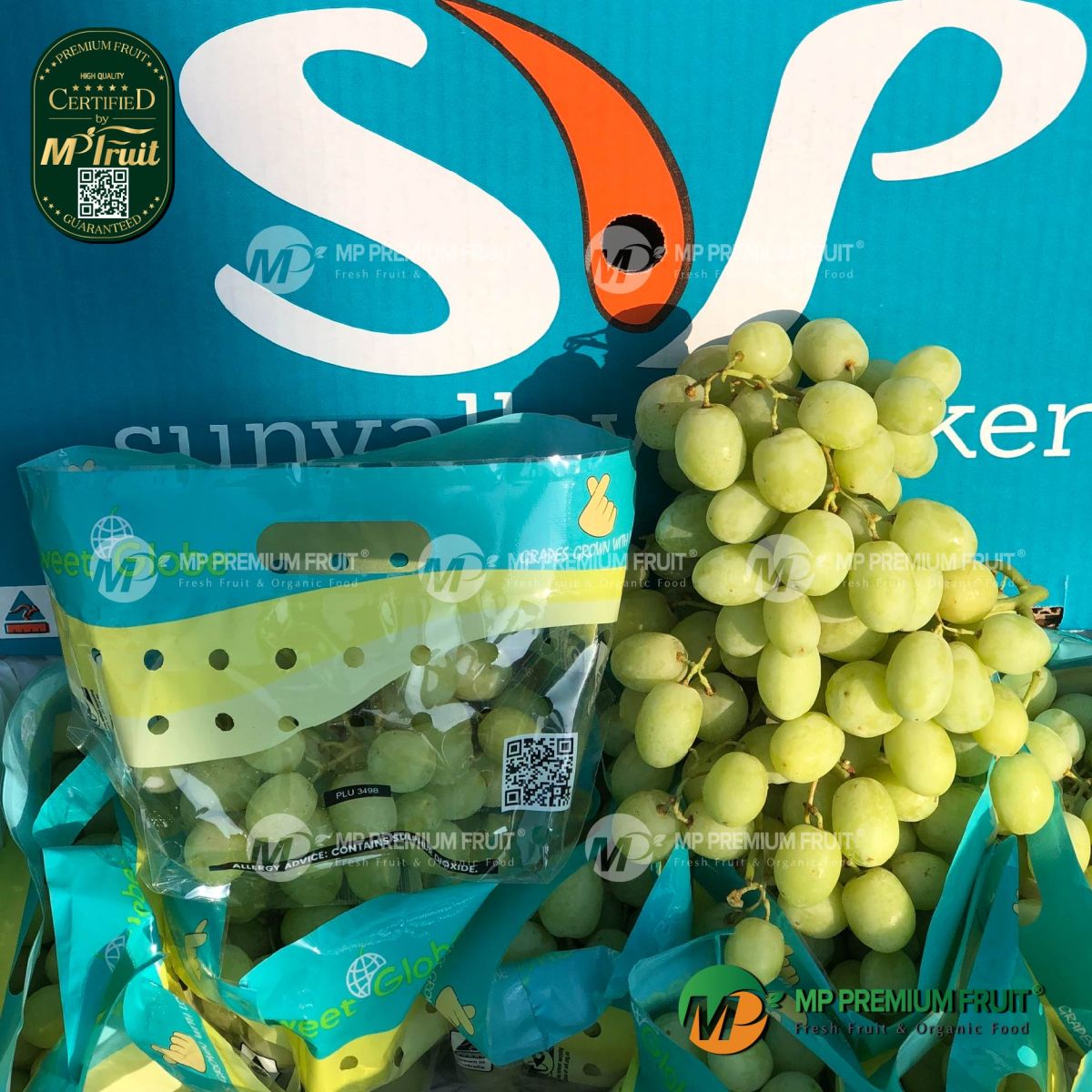 Nho Xanh Sweet Globe Úc tại MP Fruit