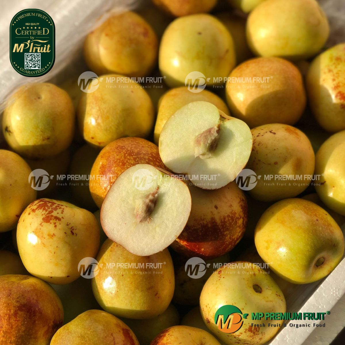 Quả Táo Tàu Tươi tại MP Fruit