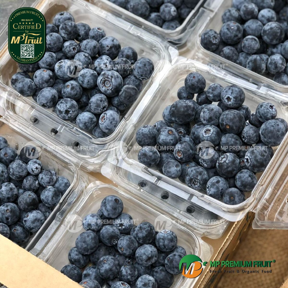 Việt Quất Nhập Khẩu New Zealand | BAY Hộp 125g tại MP Fruit