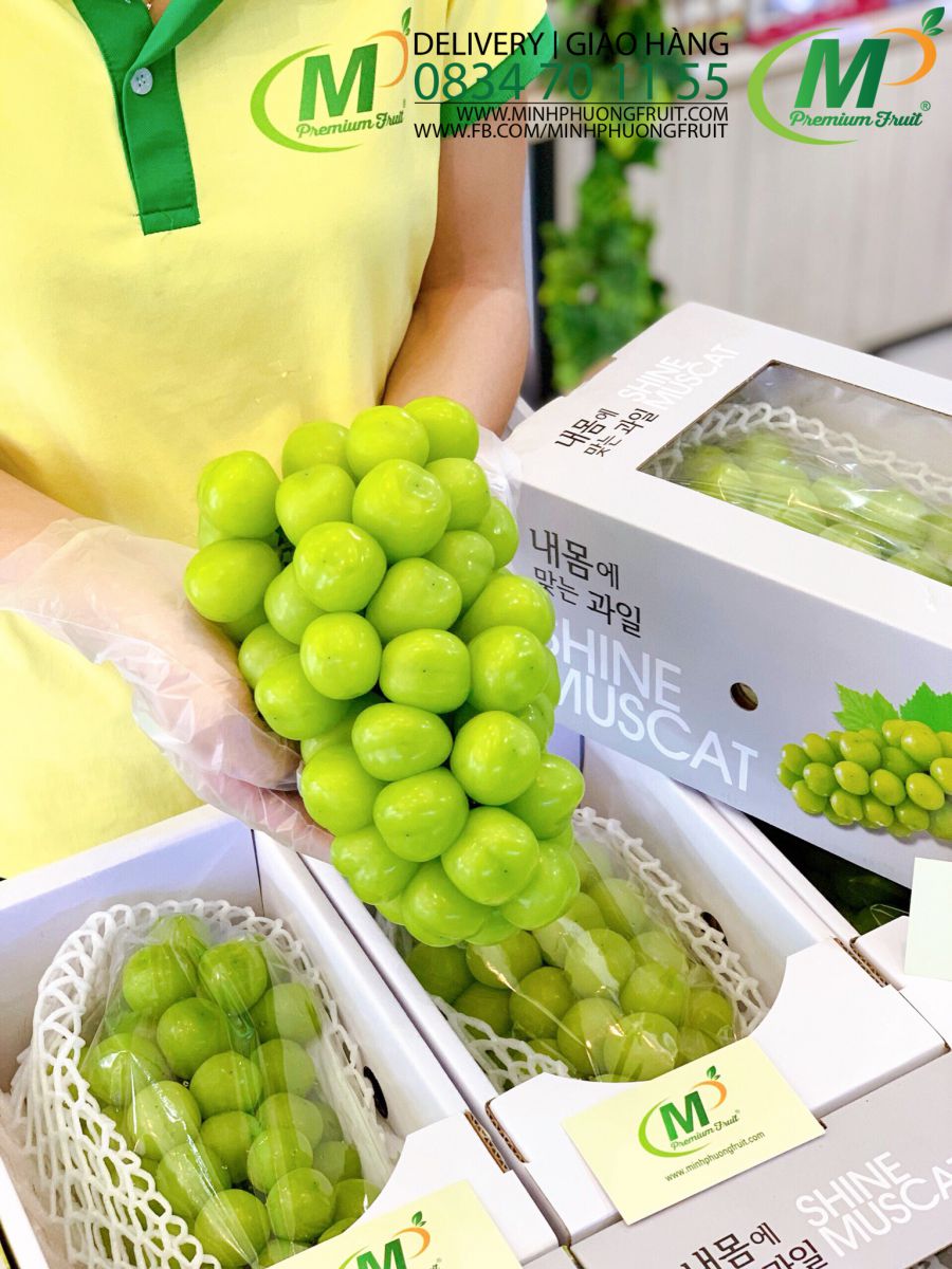 Nho Mẫu Đơn Shine Muscat Hàn Quốc - Hàng Premium 1 Hộp 1 chùm 1,2kg - MP Fruit