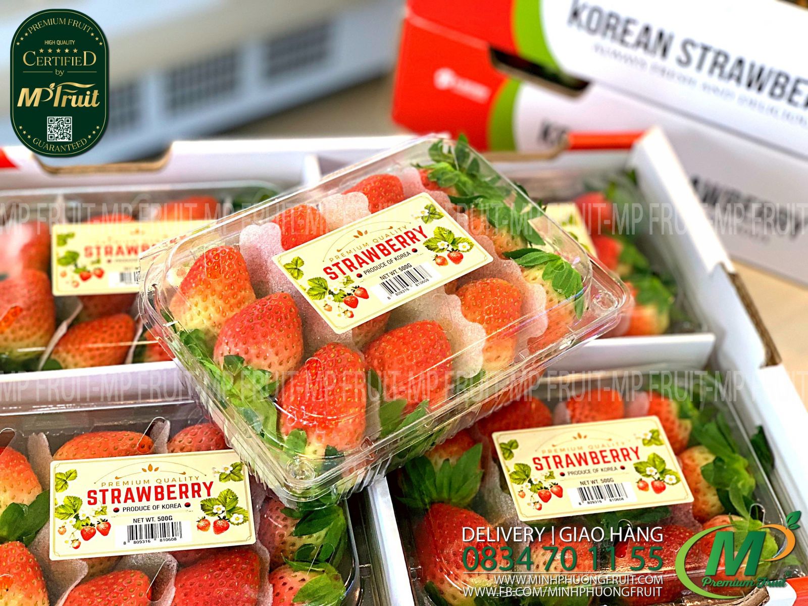 Dâu Tây Premium Hàn Quốc tại MP Fruit