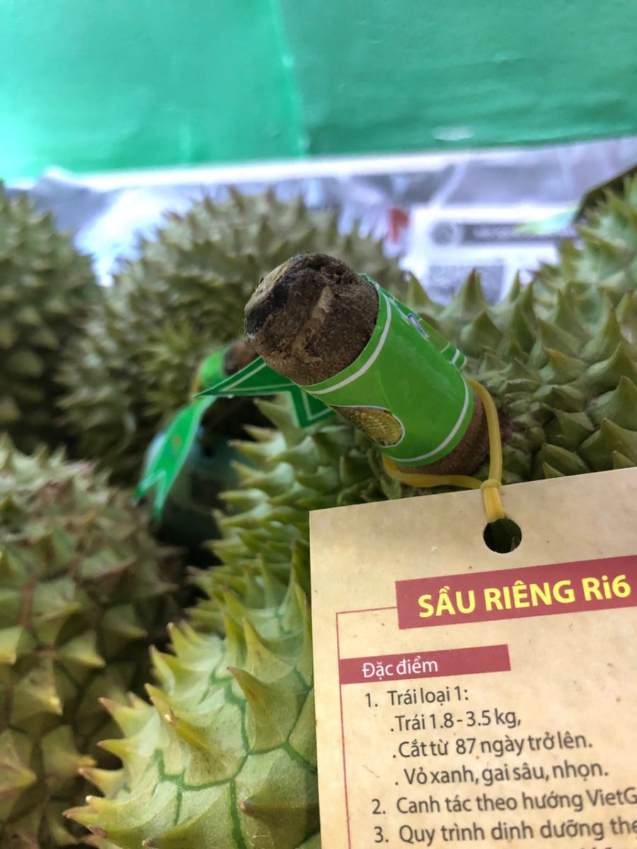 Sầu Riêng Ri6 Huỳnh Lâm tại MP Fruits