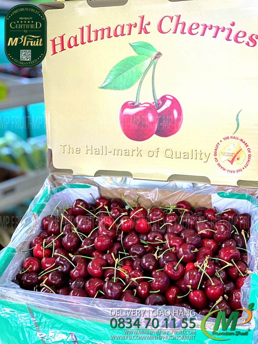 Cherry Đỏ Úc Size 28 - 30 tại MP Fruit
