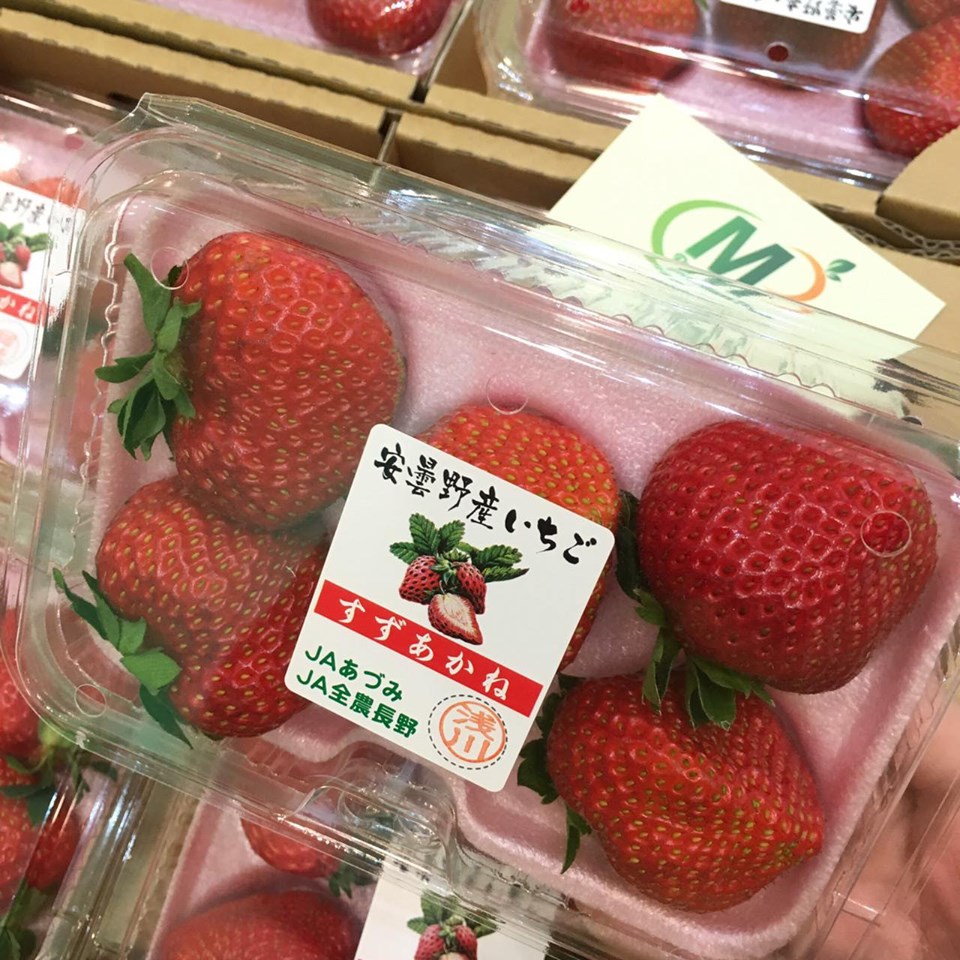 Dâu Tây Nhật Bản - Ichigo Yamanashi tại MP Fruit