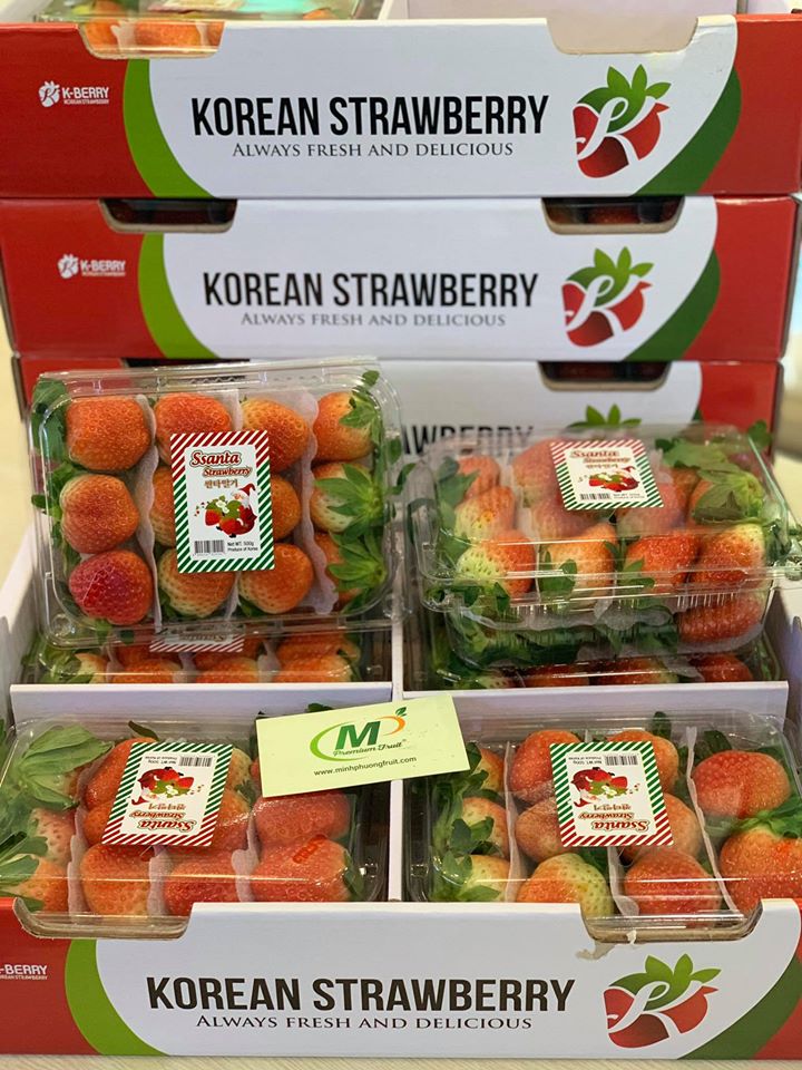Dâu Tây Hàn Quốc - MP Fruit