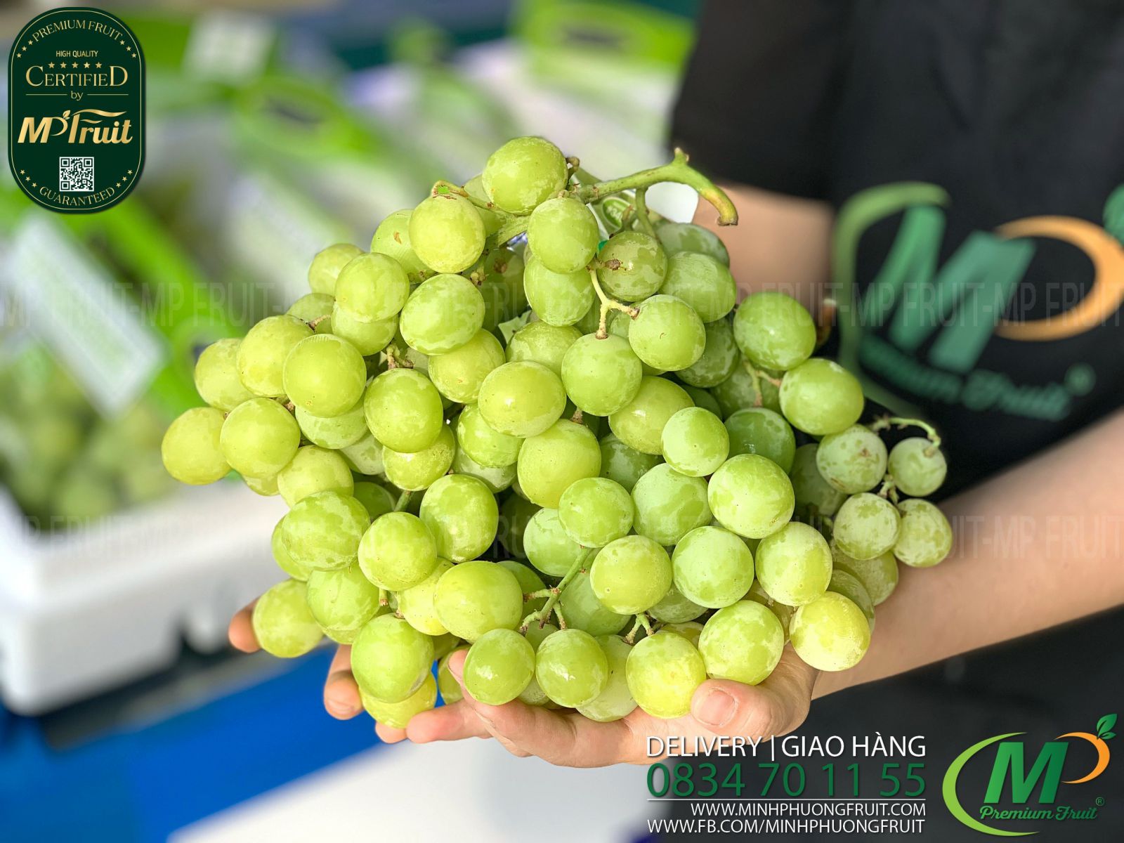 Nho Xanh AutumnCrisp® Flavor Grown Mỹ tại MP Fruits