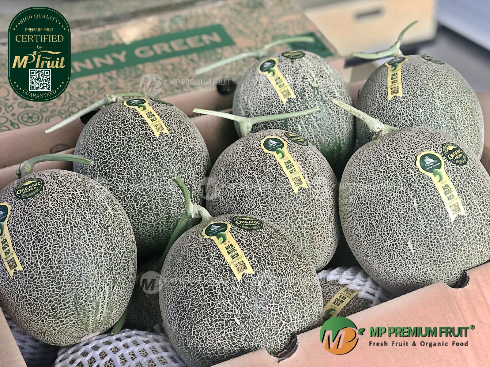 Dưa Lưới Nhật Ichiba Biển Ngọc Bích Organic - SeaEmerald Musk Melon Danny Green tại MP Fruit