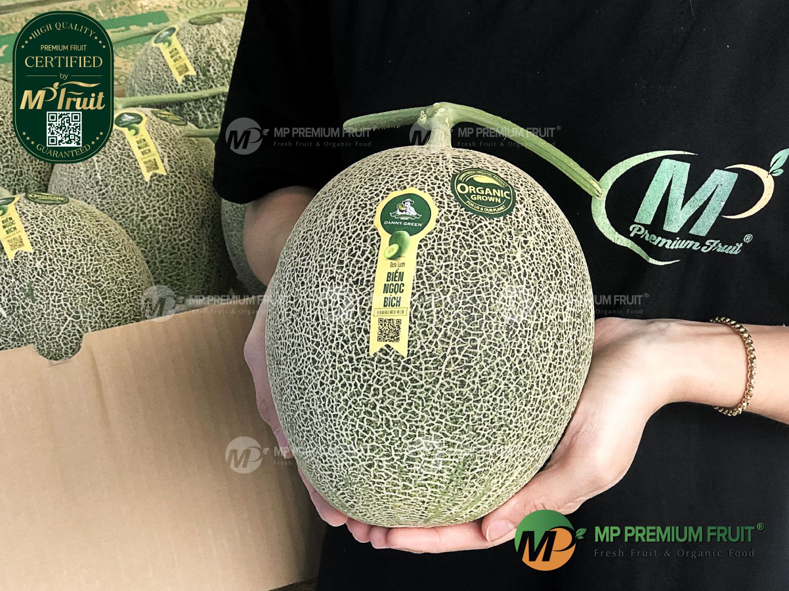 Dưa Lưới Nhật Ichiba Biển Ngọc Bích Organic - SeaEmerald Musk Melon Danny Green tại MP Fruit